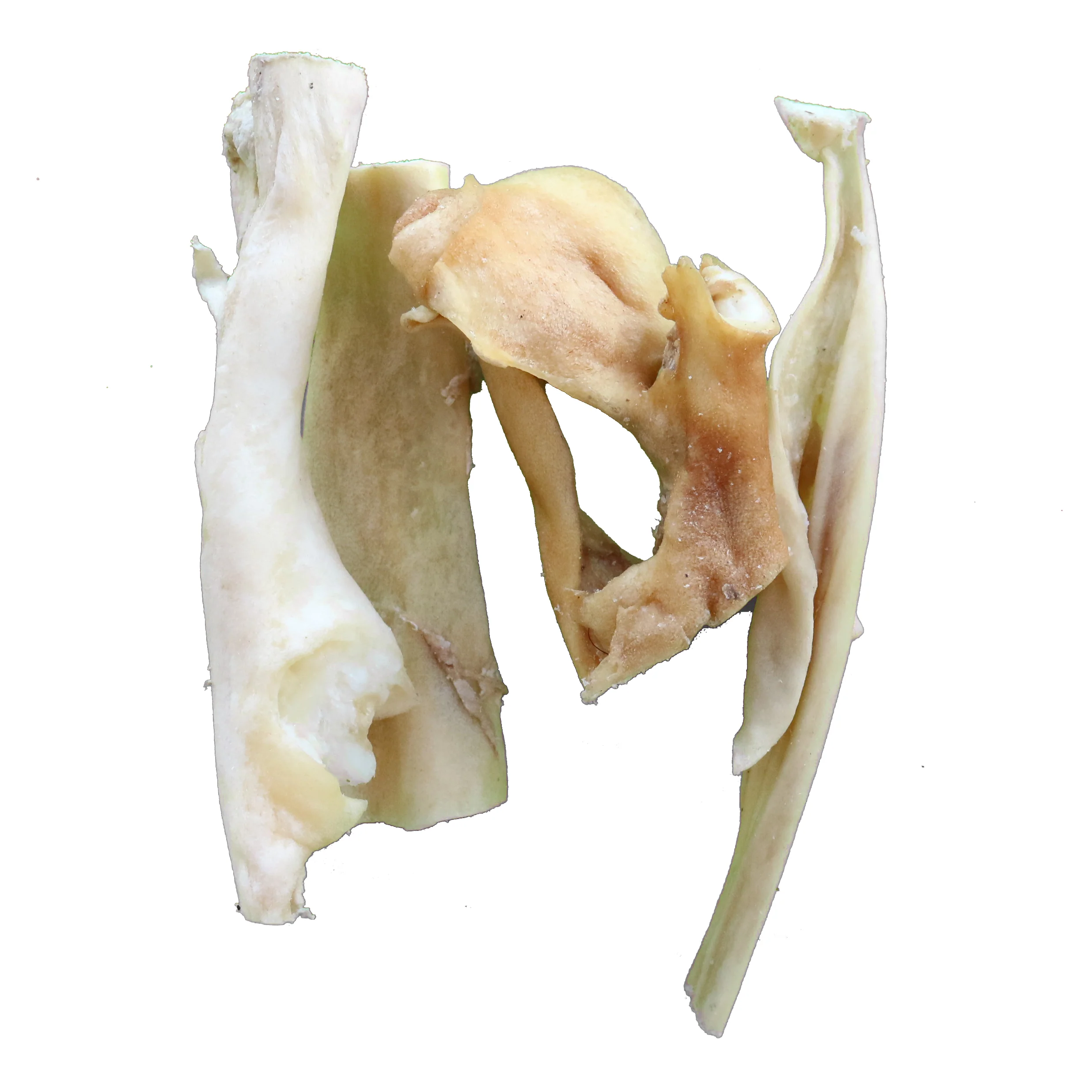 Pikkukuva 1