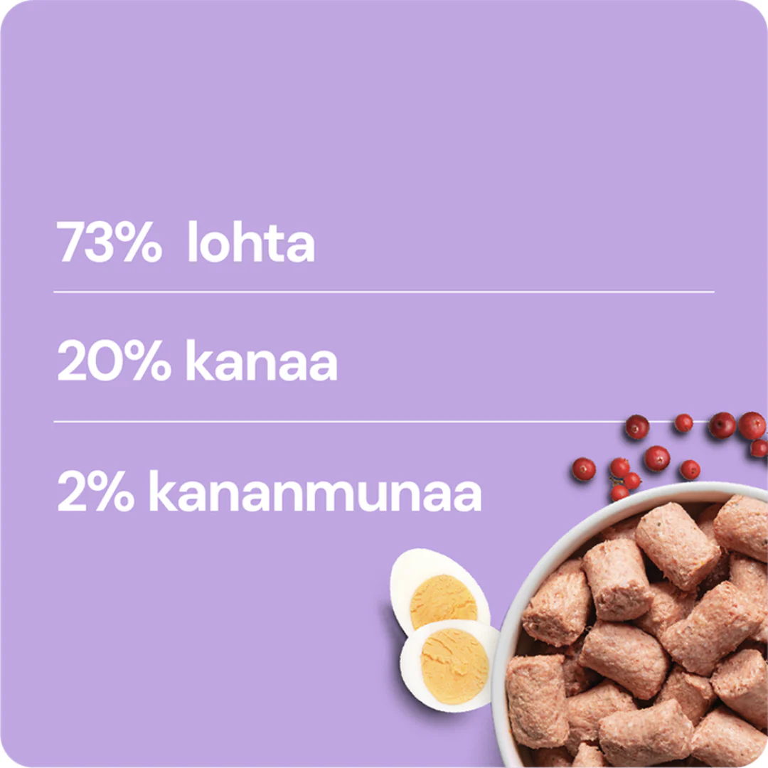 Tuotekuva 3