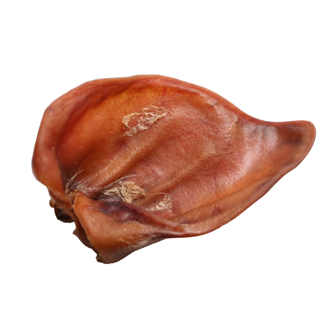 Pikkukuva 1