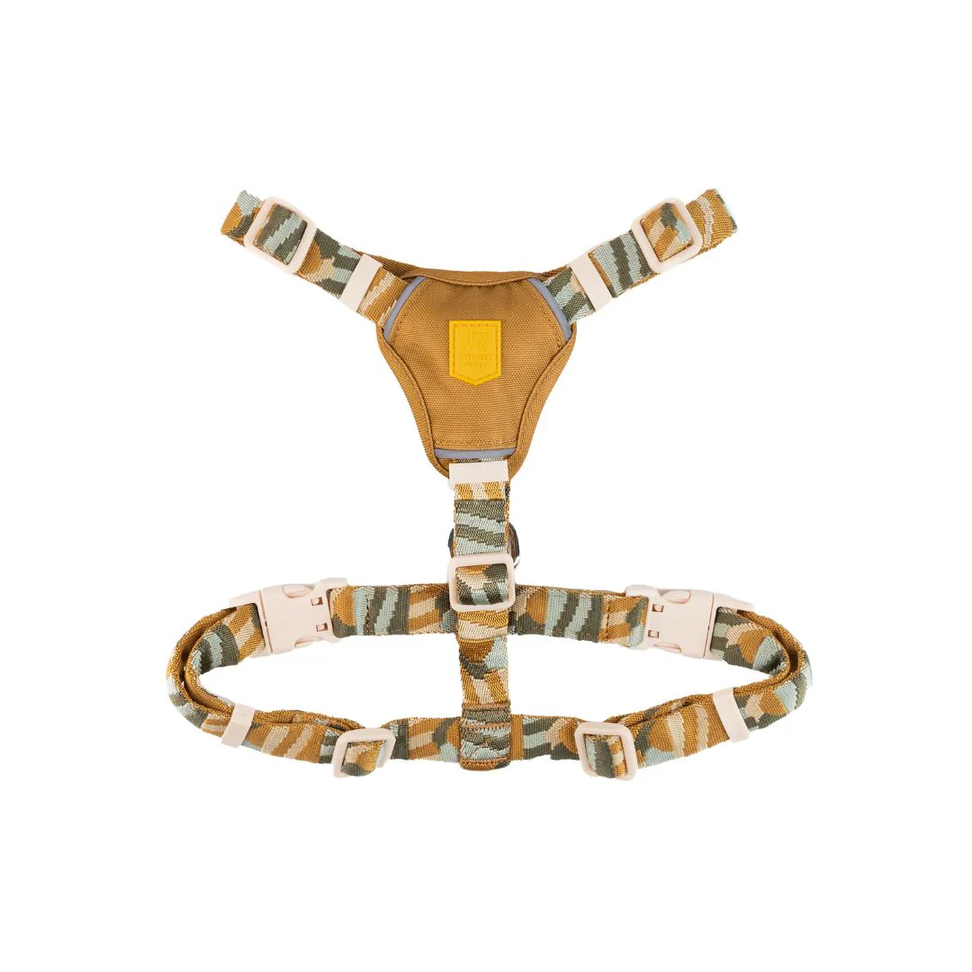 Pikkukuva 1